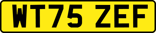 WT75ZEF