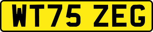 WT75ZEG