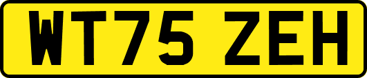 WT75ZEH
