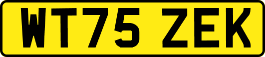 WT75ZEK