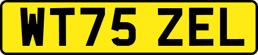 WT75ZEL