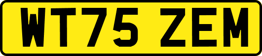 WT75ZEM