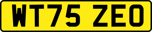 WT75ZEO