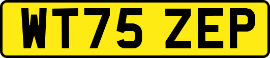WT75ZEP