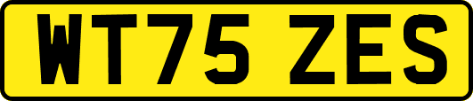 WT75ZES