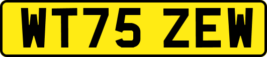 WT75ZEW