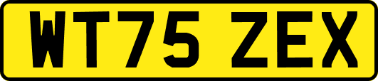 WT75ZEX