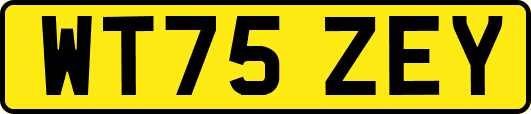 WT75ZEY
