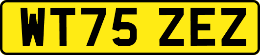 WT75ZEZ