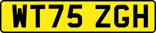 WT75ZGH