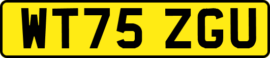 WT75ZGU