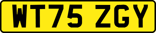 WT75ZGY