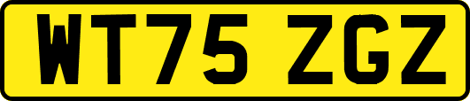 WT75ZGZ
