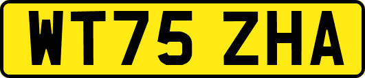 WT75ZHA