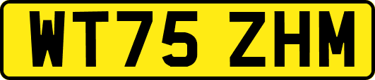 WT75ZHM