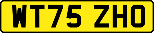 WT75ZHO