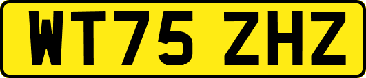 WT75ZHZ
