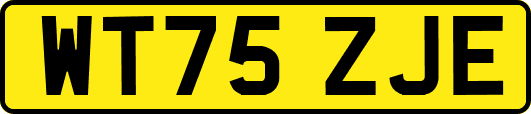 WT75ZJE