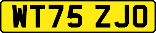 WT75ZJO