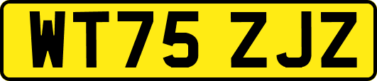 WT75ZJZ