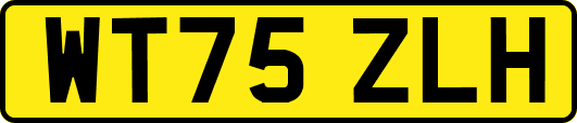 WT75ZLH