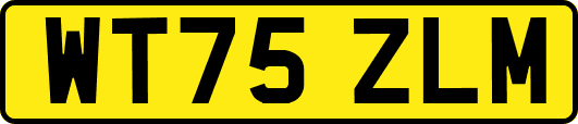 WT75ZLM