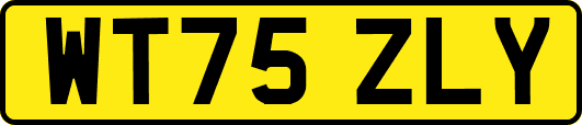 WT75ZLY