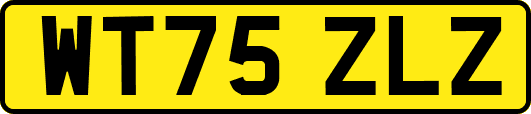 WT75ZLZ
