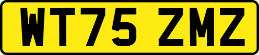 WT75ZMZ