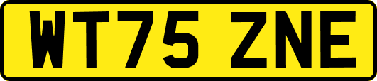 WT75ZNE