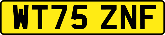 WT75ZNF