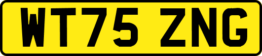 WT75ZNG