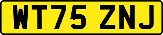 WT75ZNJ