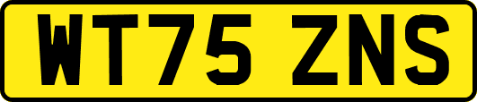 WT75ZNS