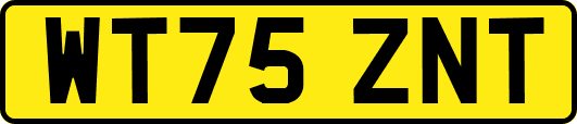 WT75ZNT