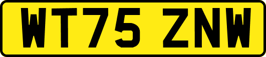 WT75ZNW