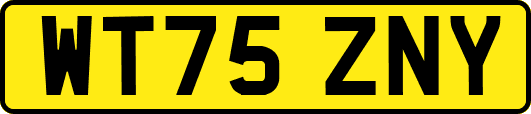 WT75ZNY