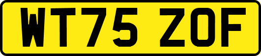 WT75ZOF