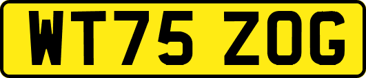 WT75ZOG