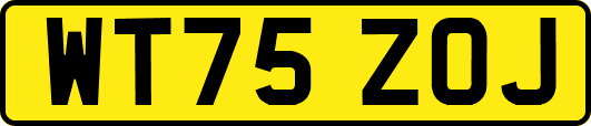 WT75ZOJ