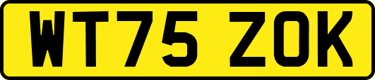 WT75ZOK