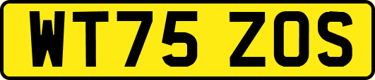 WT75ZOS