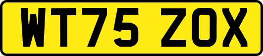 WT75ZOX