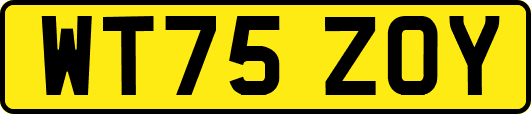 WT75ZOY