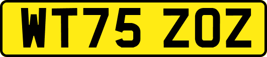 WT75ZOZ