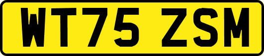 WT75ZSM