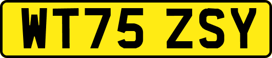 WT75ZSY