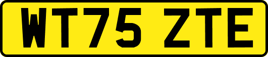 WT75ZTE