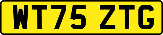 WT75ZTG