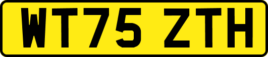 WT75ZTH